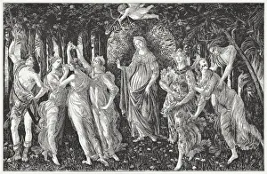 Images Dated 8th March 2017: The Primavera, painted by Sandro Botticelli, wood engraving, published 1884