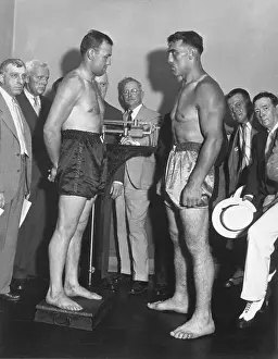 Primo Carnera Looks, Jack Sharkey On Scal