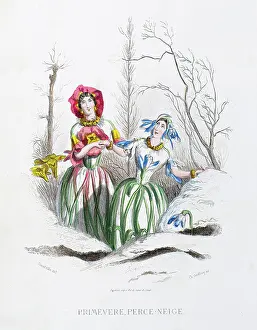 Grandville Prints: Primrose and Snowdrop - Stunning Hand-colored plate from 'Les Fleurs Animees by J