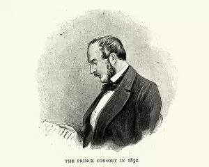 Images Dated 24th October 2018: Prince Albert in 1852