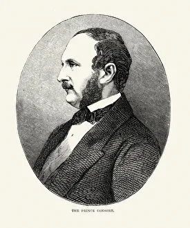 Images Dated 4th June 2014: Prince Albert