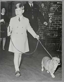 Earl Of Wessex Prints: Prince Andrew Walking His Dog