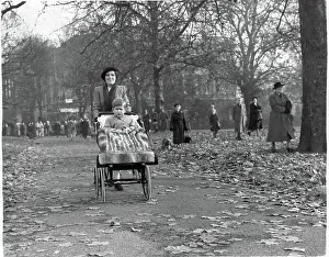 Prince Charles In Carriage Rides In Park