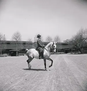 Prince Takahito on His Horse