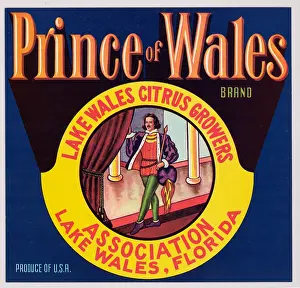 Prince Prints: Prince of Wales
