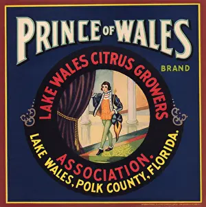 Florida Prints: Prince of Wales brand