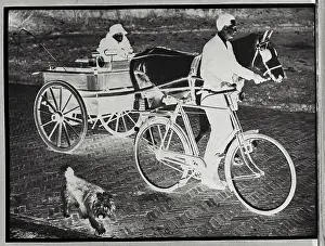 Princess Wilhelmina Riding in Pony Drawn Cart