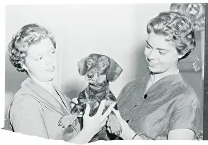 Sibylla Prints: Princesses Margaretha and Birgitta Holding a Puppy