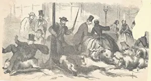 Whip Prints: Print Depicting Pork Lively - A Sketch from Nature at the Corner of Broadway and Fourth Street