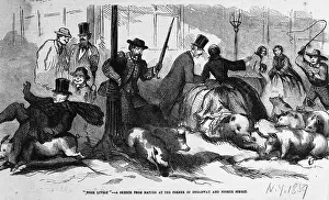 Whip Prints: Print Depicting Pork Lively - A Sketch from Nature at the Corner of Broadway and Fourth Street