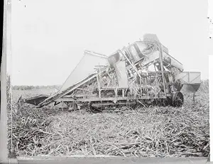 Processing of Sugar Cane Wastes