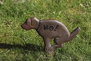 Prohibition sign no to dog waste on lawns
