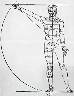 Proportion Of Man by Albrecht Durer