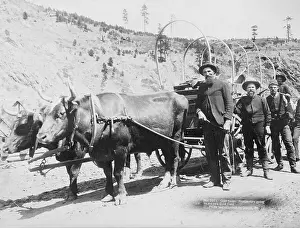 North Dakota Prints: Prospectors Going To New Gold Field
