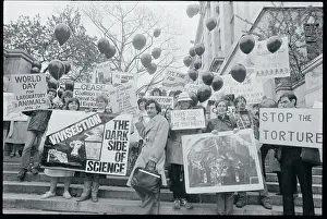 Protesters Displaying Placards