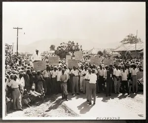 Haiti Prints: Protesters with Signs Demonstrate