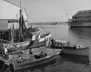 Harbour Prints: Provincetown Harbor