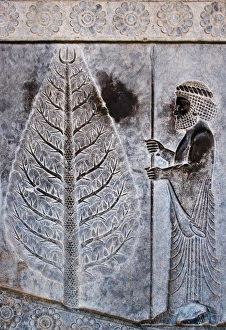 Persian Culture Collection: Prsian Heritage
