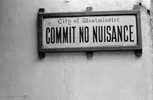 Public Nuisance