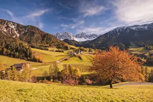 Images Dated 24th October 2015: Puez-Odle natural park, Trentino-Alto Adige (Sud Tyrol), Boldano, Italy