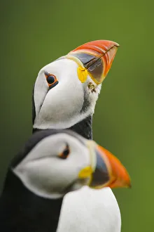 Images Dated 2017 June: 28 Jun 2017 Collection