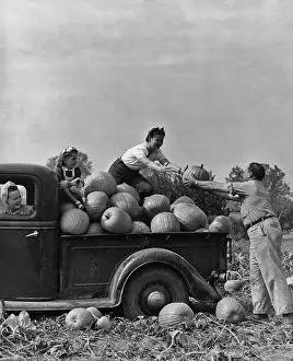 Pumpkin Prints: Pumpkin Harvest