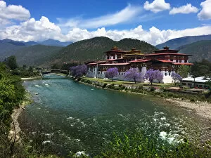 Images Dated 16th June 2017: Punakha Dzong and Mochho River