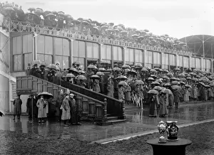Shelter Prints: Punchestown Downpour