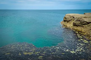 Chubut Province Prints: Punta Pardelas, Peninsula Valdes