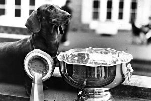 Images Dated 1979: January Collection