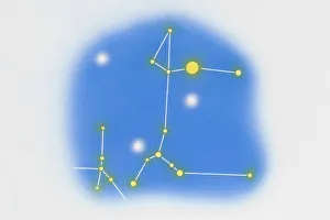 Images Dated 8th March 2007: Puppis, canis major (dog stars)