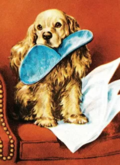 Puppy with slipper