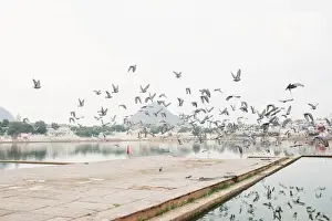 Pushkar lake and shrine, Pushkar Rajasthan India