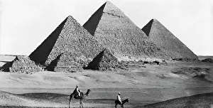 Animal Riding Prints: Pyramids of Giza