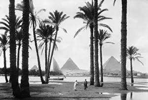 Palm Tree Prints: Pyramids and the Nile River