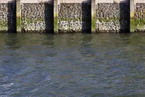 Quayside Prints: Quay wall at the Nieuwe Ms, Rotterdam, Holland, Netherlands, Europe
