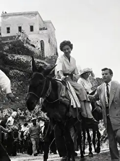 Animal Riding Prints: Queen on Informal Mount