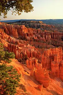 Desert Prints: Queens Garden hoodoos at sunrise. Bryce Canyon National Park, Utah