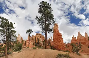 Sandstone Rock Prints: Queens Garden, a landscape formed by erosion with sandstone pillars or hoodoos