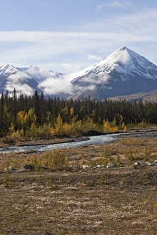 Chains Collection: Quill Creek, Indian summer, leaves in fall colours, autumn, St. Elias Mountains