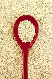 Quinoa seeds and a spoon