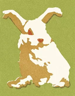 Images Dated 2nd September 2003: Rabbit