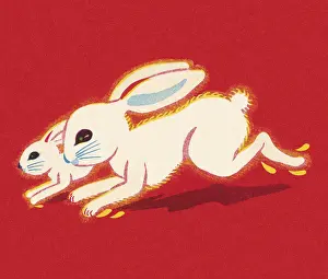 Illustra Prints: Rabbit and Bunny Running