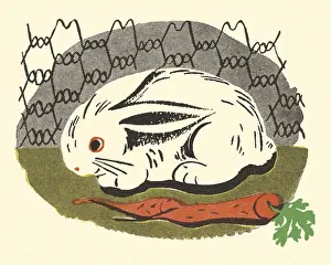 No Peopl Prints: Rabbit in a Cage