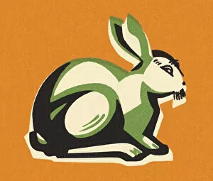 Images Dated 6th June 2013: Rabbit on an Orange Background