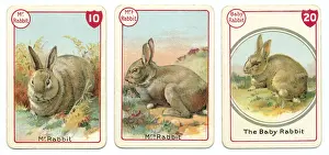 Cards Prints: Three rabbit playing cards Victorian animal families game