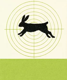 Aiming Gallery: Rabbit in scope