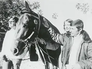 Hialeah Prints: Race Horse Seattle Slew with Jockey Jean Cruguet and Affiliates