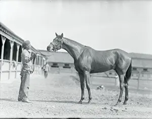 Racehorse Posing With Stable Worker