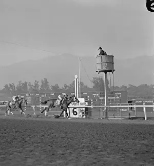Jockey Prints: Racehorse Seabiscuit Finishing Second